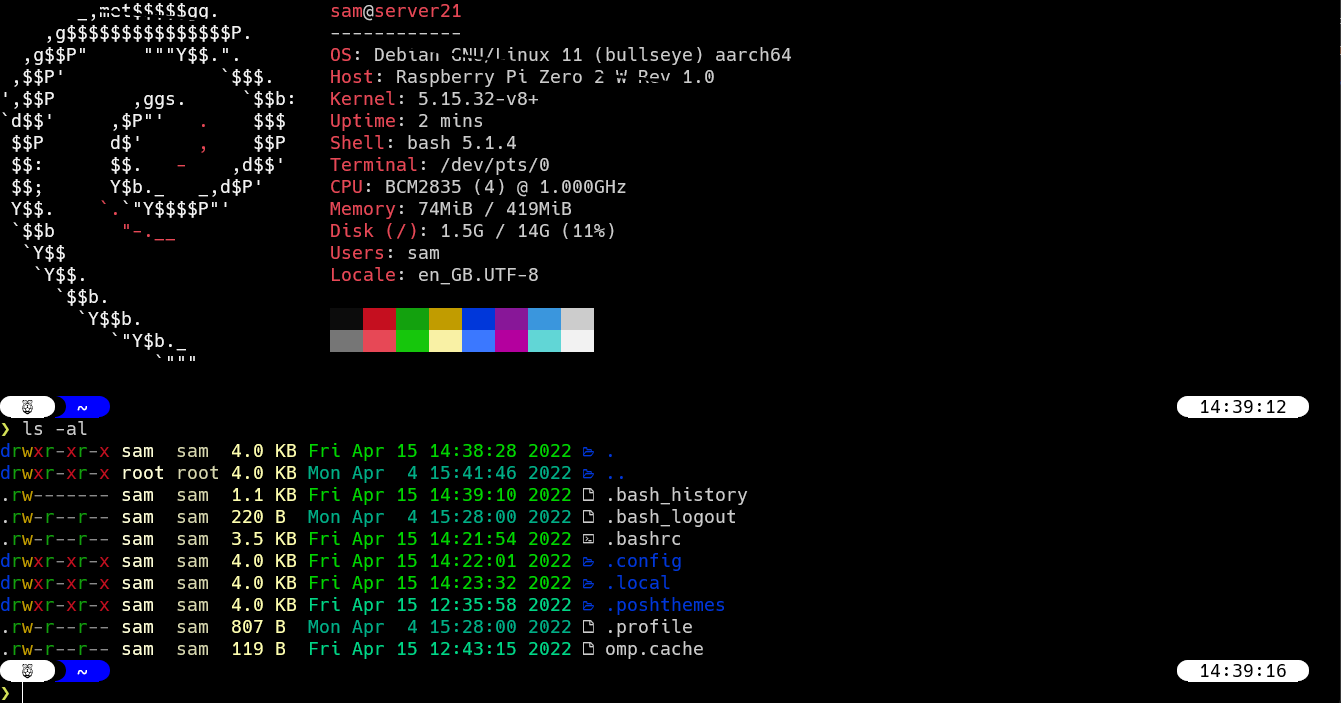 Screenshot of a terminal running on a Raspberry Pi. The content is enhanced from that of a standard Raspberry Pi terminal, with added information and colour.