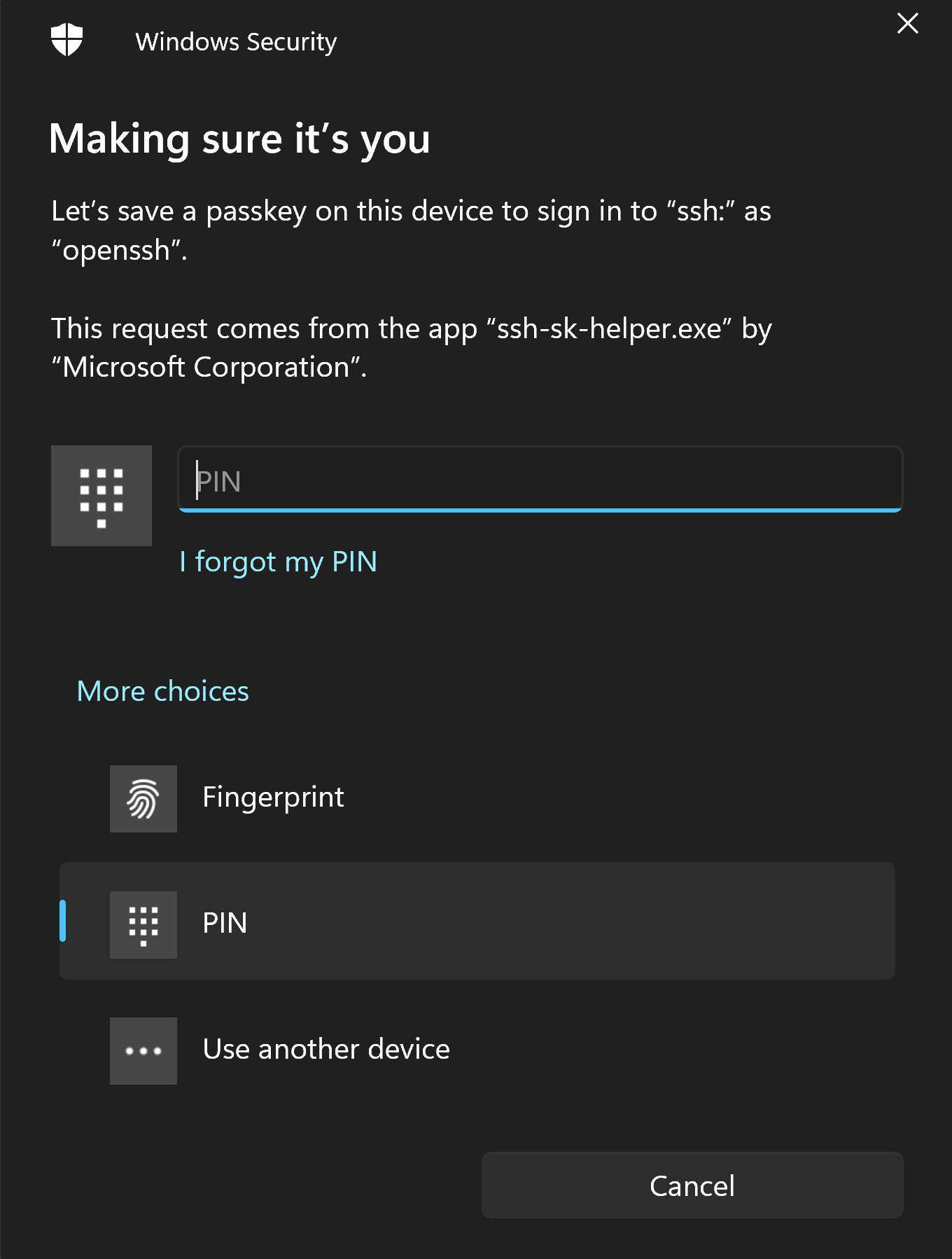 dialog box asking for a PIN or fingerprint